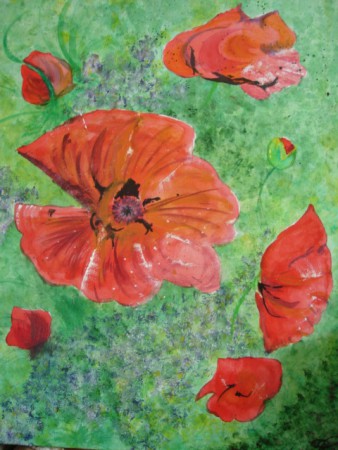 coquelicot